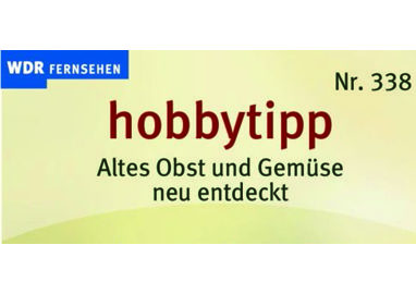 Hobbytipp Nr. 338